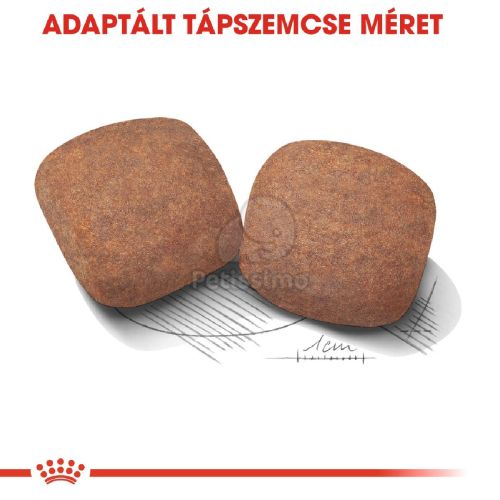 Royal Canin Giant Adult - óriás testű felnőtt kutya száraz táp  15 kg