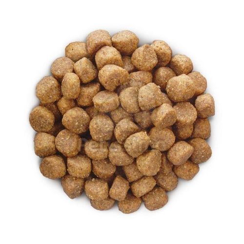 Hill's Prescription Diet b/d Ageing and Alertness Care száraz kutyatáp  12 kg
