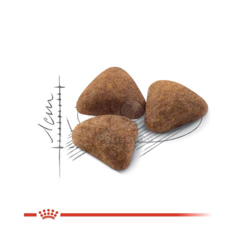 Royal Canin Indoor - lakásban tartott felnőtt macska száraz táp  400 g