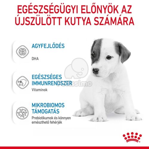 Royal Canin Babydog Milk - Tejpótló tápszer kölyökkutyáknak  2 kg