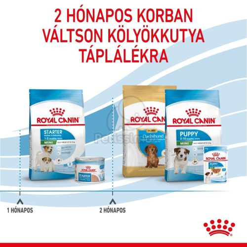 Royal Canin Mini Starter - száraz táp vemhes szuka és kistestű kölyök kutya részére  1 kg