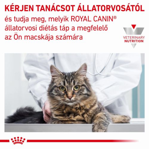 Royal Canin Feline Fibre Response Dry 31  4 kg