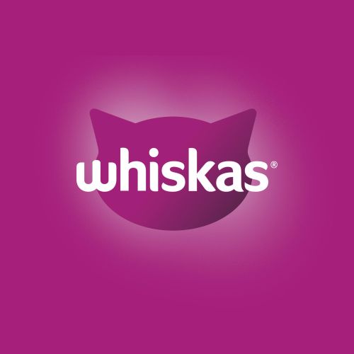 Whiskas szárazeledel csirkével  1.4 kg