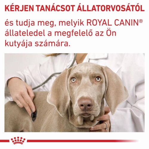 Royal Canin Adult Small Dog  8 kg