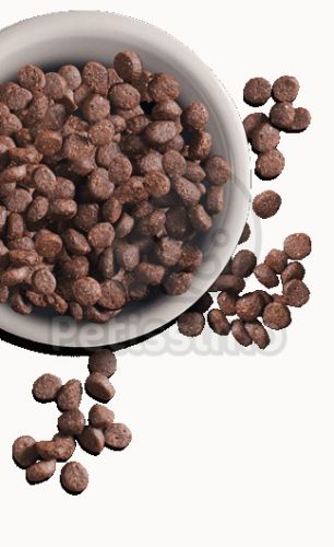 Leonardo Adult Sensitive Hal & Rizs  15 kg