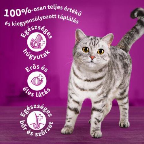 Whiskas szárazeledel csirkével  300 g