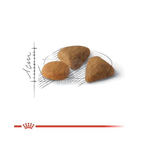 Royal Canin Savour Exigent - válogatós felnőtt macska száraz táp  10 kg