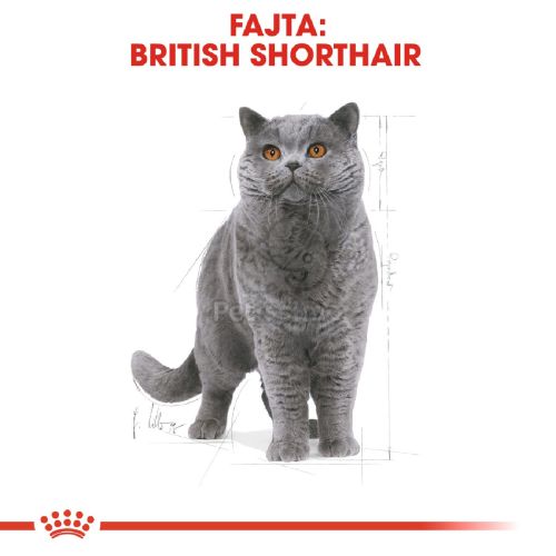 Royal Canin British Shorthair Adult - Brit rövidszőrű felnőtt macska száraz táp  400 g