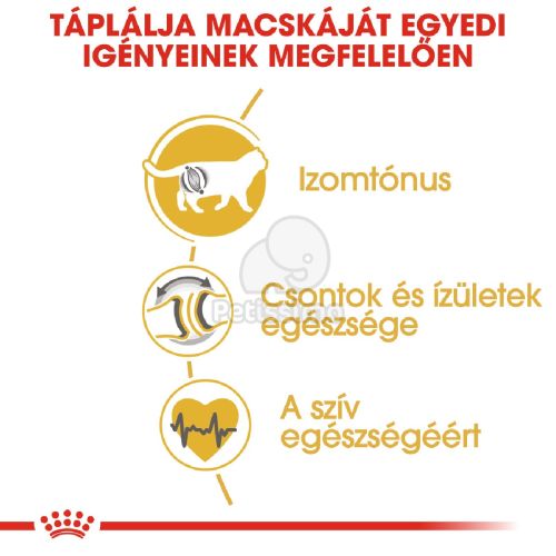 Royal Canin British Shorthair Adult - Brit rövidszőrű felnőtt macska száraz táp  400 g