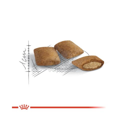 Royal Canin Ageing 12+ - idős macska száraz táp  2 kg