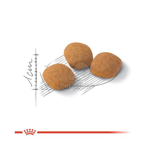 Royal Canin Protein Exigent - válogatós felnőtt macska száraz táp  2 kg