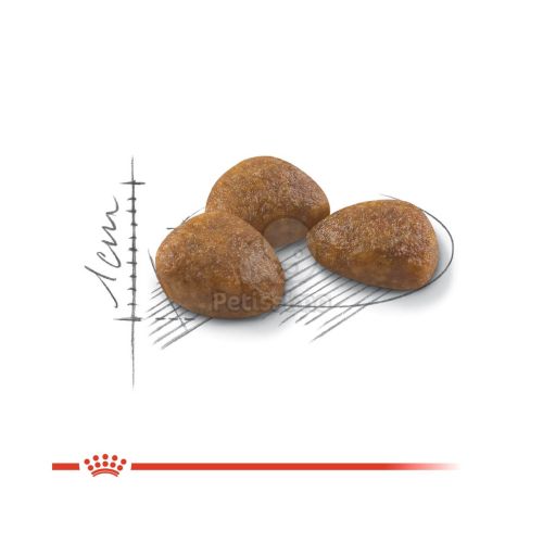 Royal Canin Outdoor 7+ - szabadba gyakran kijáró, aktív idősödő macska száraztáp  2 kg