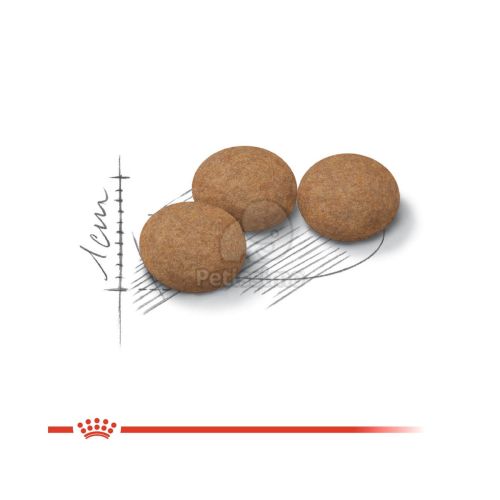 Royal Canin Ageing Sterilised 12+ - ivartalanított idős macska száraz táp  2 kg