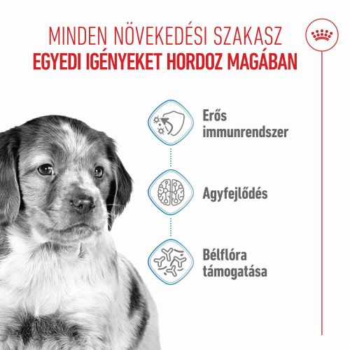 Royal Canin Medium Puppy - közepes testű kölyök kutya száraz táp  15 kg