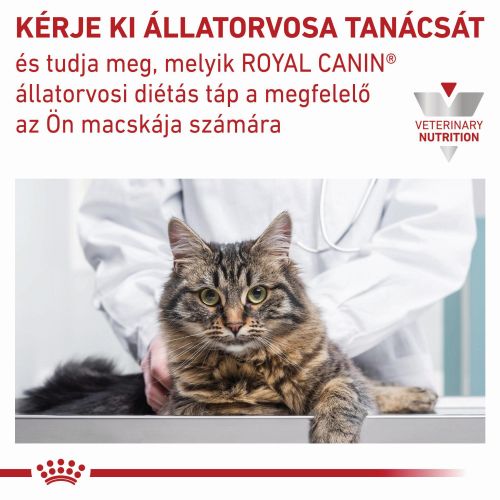 Royal Canin Feline Urinary S/O 34  7 kg
