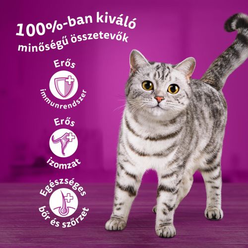 WHISKAS ALUTASAK 12 PACK SZÁRNYAS CASSEROLE ÍZESÍTÉSBEN MACSKÁK RÉSZÉRE 85 G 12 x  85 g