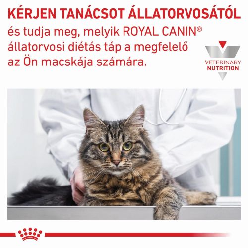 Royal Canin Anallergenic macskáknak  2 kg