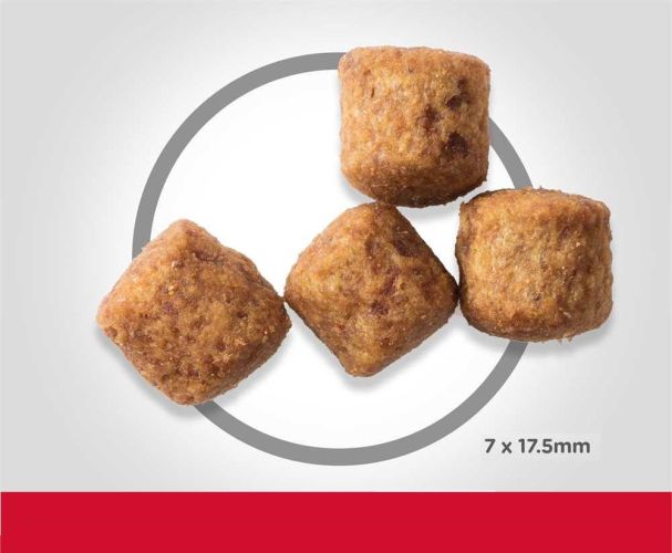Hill's Science Plan Mature Adult 6+ Large Breed száraz kutyatáp  14 kg