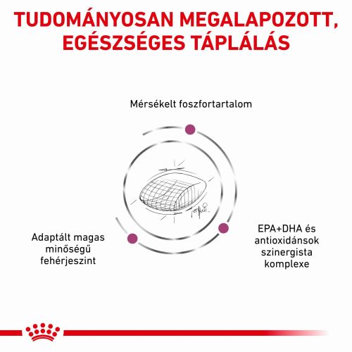 Royal Canin Early Renal  7 kg