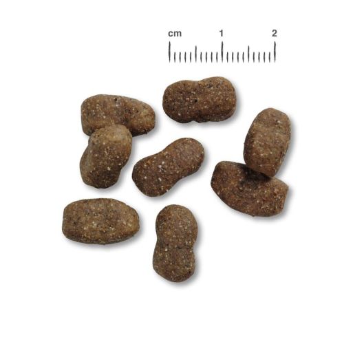 Belcando Adult Grain-Free Horse - gabonamentes száraztáp lóhússal  4 kg