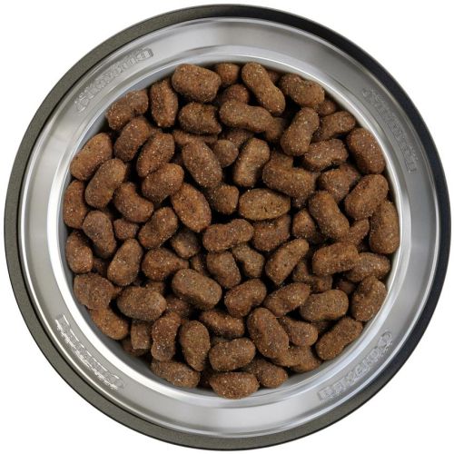 Belcando Adult Grain-Free Horse - gabonamentes száraztáp lóhússal  4 kg