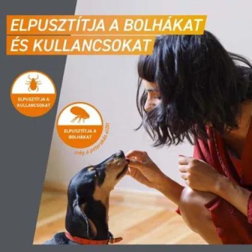 FRONTPRO RÁGÓTABLETTA KUTYA M/10-25KG/  3 tabletta