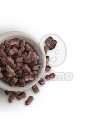 Leonardo Adult Maxi GF  15 kg