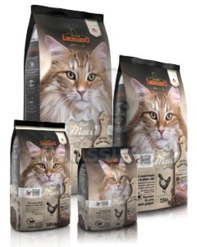 Leonardo Adult Maxi GF  15 kg