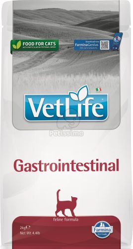Vet Life Cat Gastrointestinal  10 kg