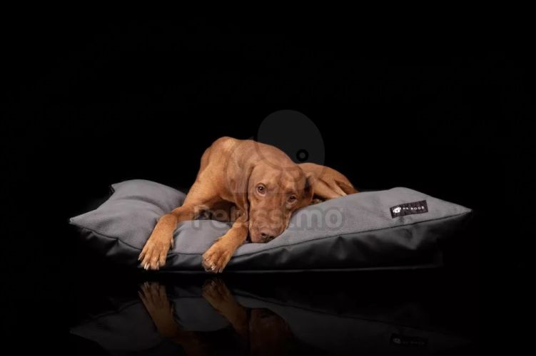 NRDOGS Soft Magic Basic kutyafekhely - szürke  90x56 cm