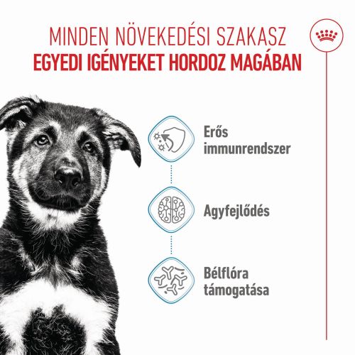 Royal Canin Maxi Puppy - nagytestű kölyök kutya száraz táp  3 kg