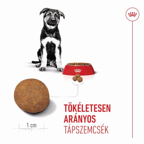Royal Canin Maxi Puppy - nagytestű kölyök kutya száraz táp  3 kg