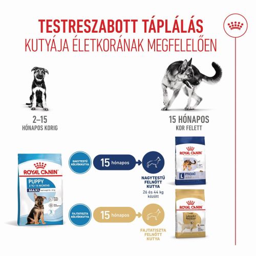 Royal Canin Maxi Puppy - nagytestű kölyök kutya száraz táp  12 kg