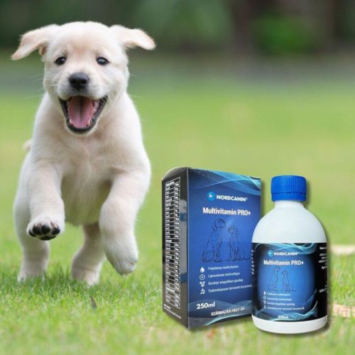 Nordcanin Multivitamin PRO+  100 ml