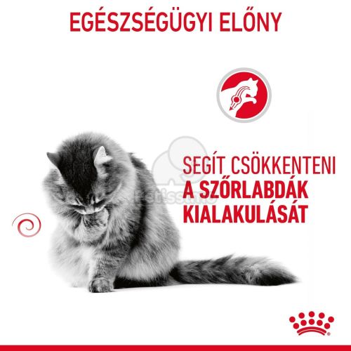 Royal Canin Hairball Care - száraz táp felnőtt macskák részére a szőrlabdák könnyebb eltávozásáért  2 kg