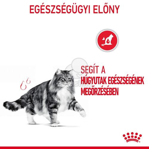 Royal Canin Urinary Care - száraz táp felnőtt macskák részére az alsó húgyúti problémák megelőzéséért  400 g
