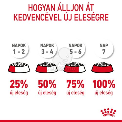 Royal Canin Digestive Care - száraz táp érzékeny emésztésű felnőtt macskák részére  10 kg