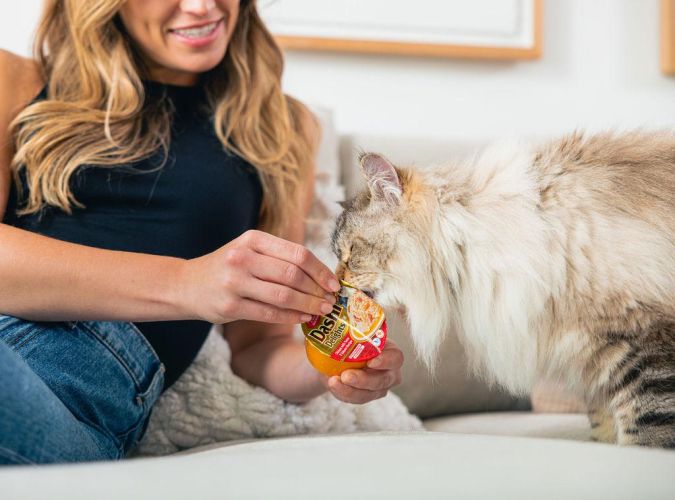 Inaba Cat Churu Dashi Delights - csirke  70 g