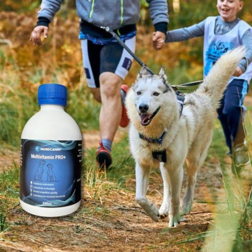 Nordcanin Multivitamin PRO+  250 ml