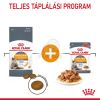 Royal Canin Hair & Skin Care - száraz táp felnőtt macskák részére a szebb szőrzetért és az egészséges bőrért  400 g