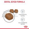 Royal Canin Dental Care - száraz táp felnőtt macskák részére a fogkőképződés csökkentéséért  8 kg