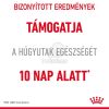 Royal Canin Urinary Care - száraz táp felnőtt macskák részére az alsó húgyúti problémák megelőzéséért  10 kg