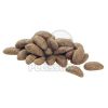 Pro Plan Adult Large Breed Athletic Optiderma  14 kg