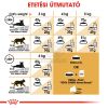 Royal Canin Sphynx Adult - Szfinx felnőtt macska száraz táp  2 kg