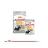 Royal Canin Mini Dermacomfort - száraz táp bőrirritációra hajlamos, kistestű felnőtt kutyák részére  8 kg