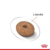 Royal Canin Mini Light Weight Care - száraz táp hízásra hajlamos, kistestű felnőtt kutyák részére  3 kg
