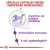 Royal Canin Giant Adult - óriás testű felnőtt kutya száraz táp  15 kg