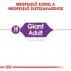Royal Canin Giant Adult - óriás testű felnőtt kutya száraz táp  15 kg