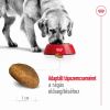 Royal Canin Maxi Adult - nagytestű felnőtt kutya száraz táp  15 kg