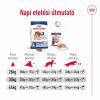 Royal Canin Maxi Adult - nagytestű felnőtt kutya száraz táp  15 kg